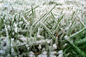snow on artificial lawn