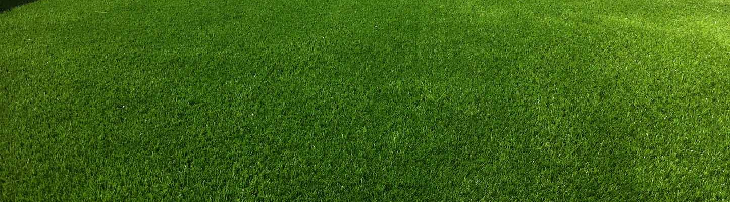 wonderlawn green artificial grass installation