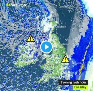 5 Tips to Weatherproof your Garden