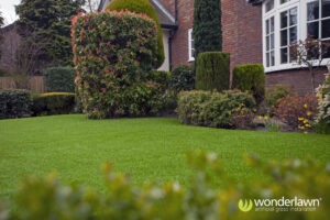 Artificial Grass Installation in Jesmond