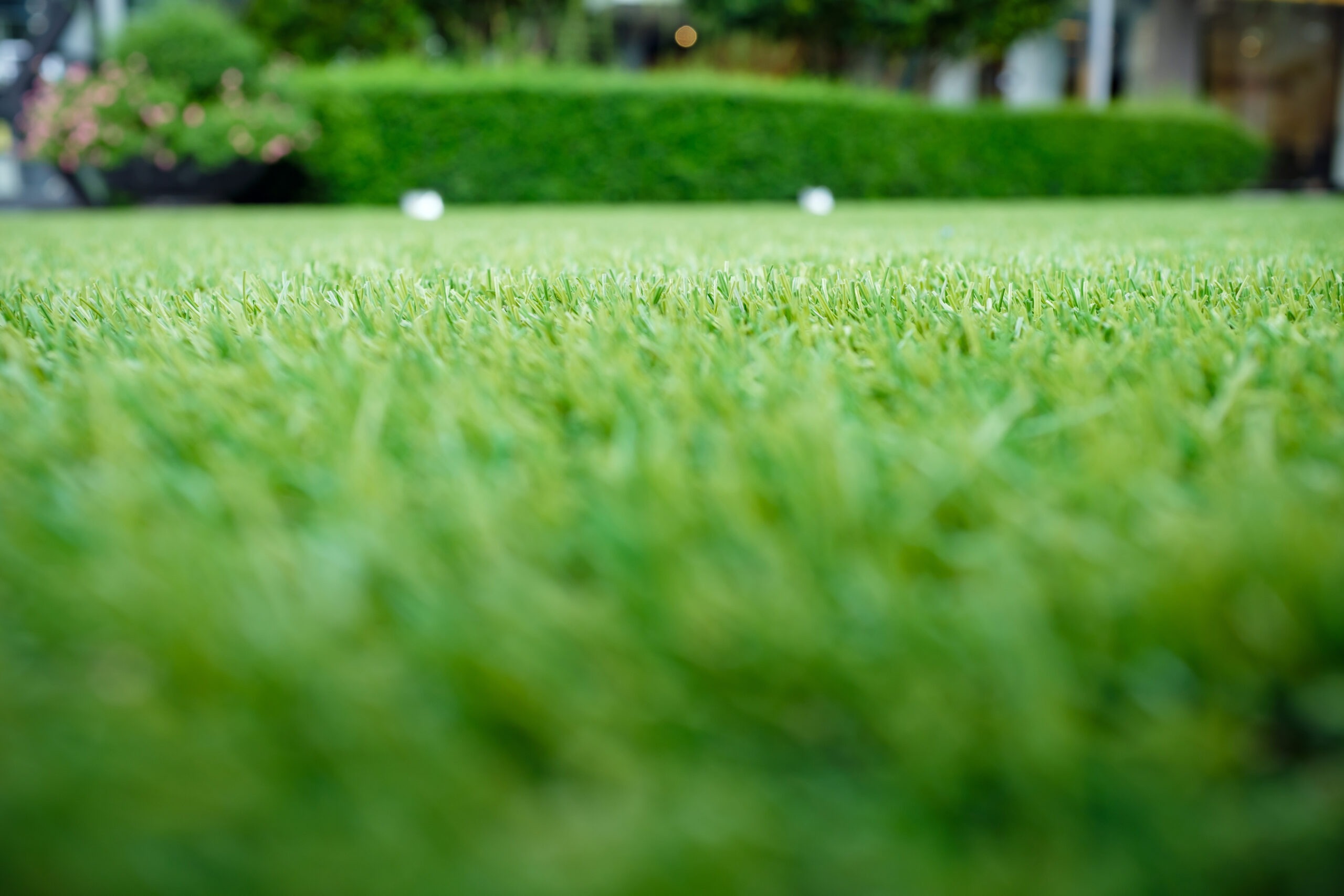 beautiful artificial grass lawn