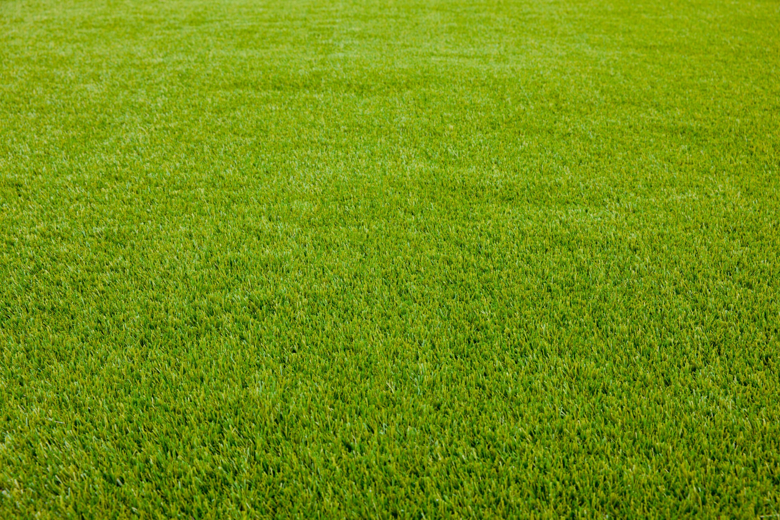 Artificial lawn from wonderlawn