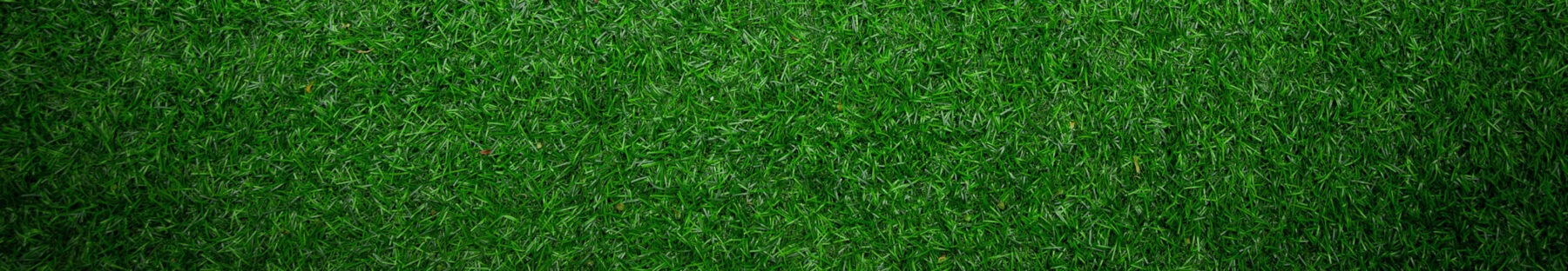 artificial grass banner