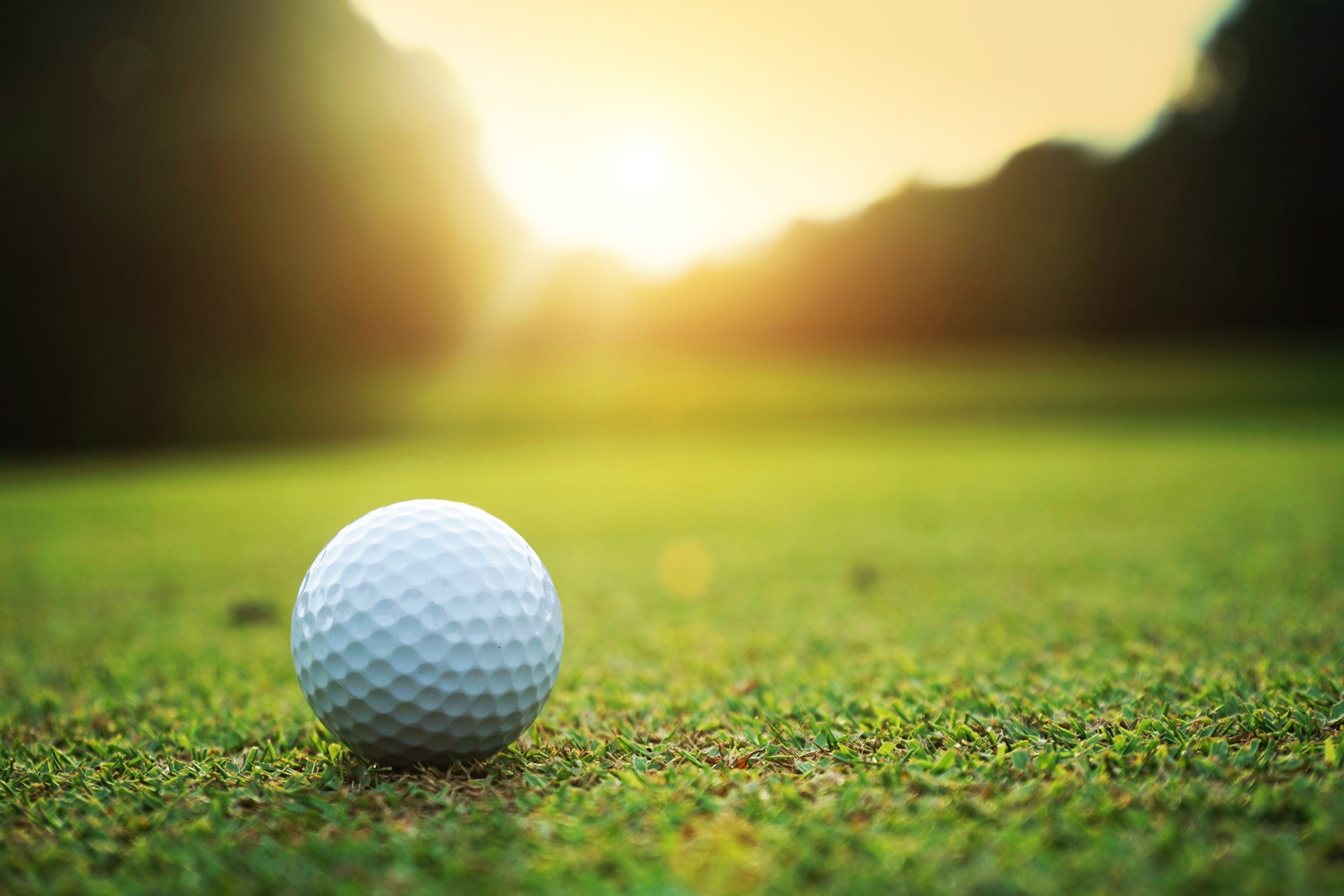 hybrid play artificial grass